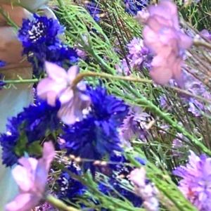 Meet your Posher, Michelle